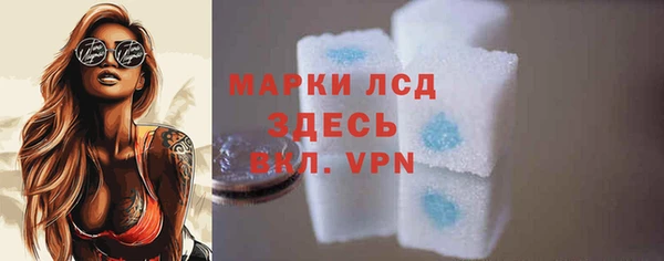 прущие грибы Абаза