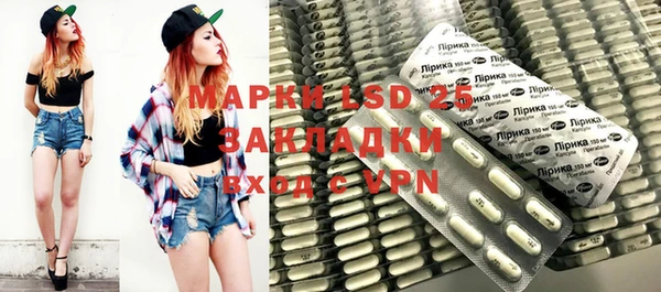 прущие грибы Абаза