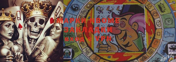 прущие грибы Абаза