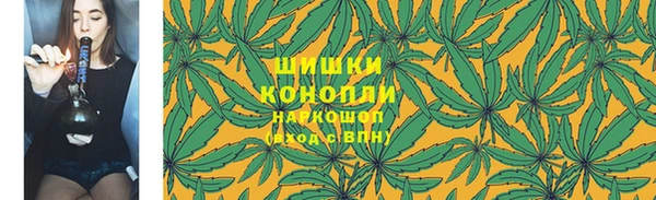 прущие грибы Абаза