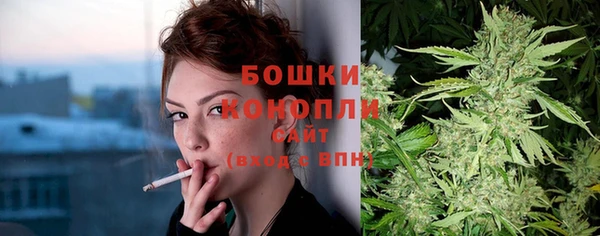 прущие грибы Абаза