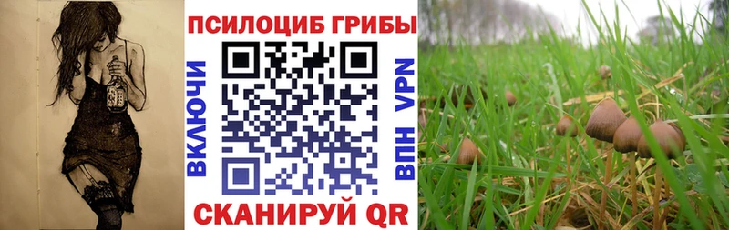 Псилоцибиновые грибы Magic Shrooms blacksprut сайт Ладушкин маркетплейс телеграм наркошоп